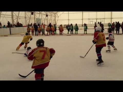 17 02 Braila hockey U10