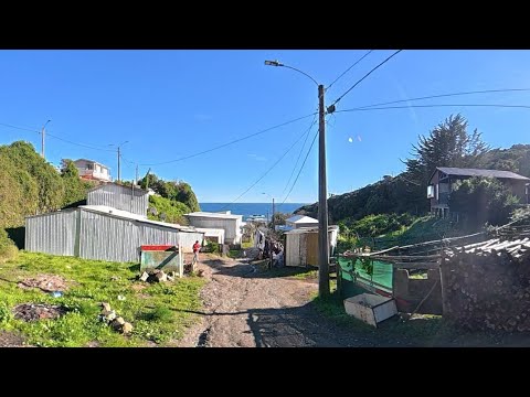 Visita Caleta Chome, Hualpen BioBio, Chile 2026, 1 de 6