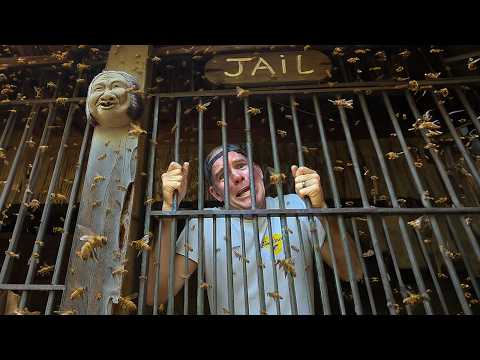 We Went To JAIL For This Bee Rescue