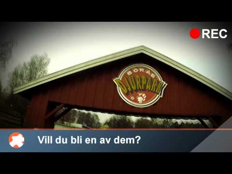 O-EVENT 2011 - Spring med actionkamera