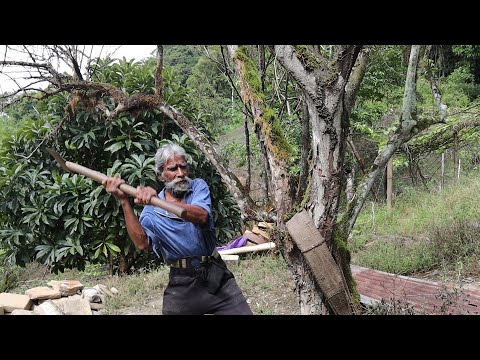 The Chulha King from Caura