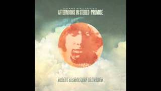 Afternoons In Stereo - Promise (Acusmatic Group Re:Crimed)