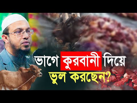 কুরবানী ভাগে নাকি একা দেয়া উত্তম?