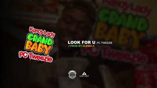PC Tweezie - Look For U