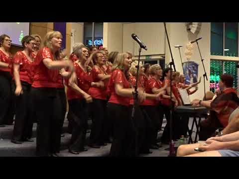 Bayside Divas - I Go to Rio