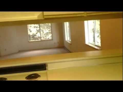 970 Ireland - Video 2 of 2