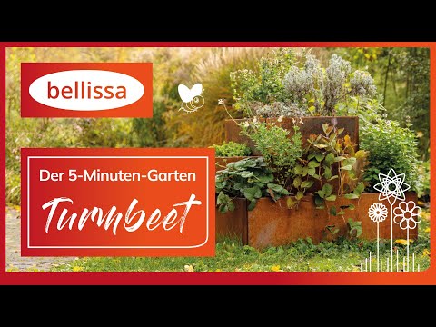 bellissa Turmbeet