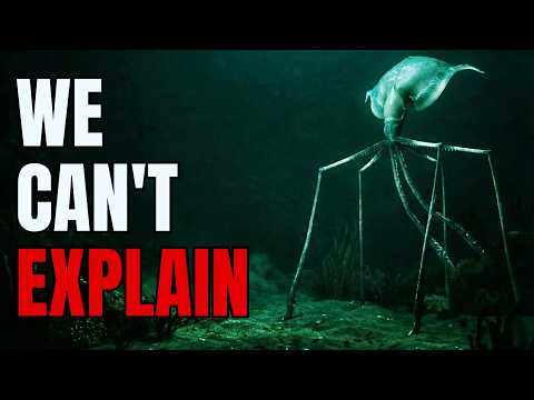 We Were Wrong About The Colossal Squid's Size