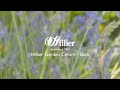Take a virtual walking tour of our Hillier Garden Centre Bath and see what to expect when you visit.
