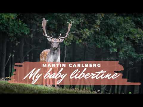 Martin Carlberg | My Baby Libertine
