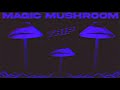 ✨🍄 PSILOCYBIN MAGIC MUSHROOM TRIP MUSIC  🍄✨ | POWERFUL SUBLIMINAL AFFIRMATIONS | 432HZ THETA WAVES