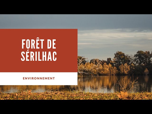 Forêt de Sérilhac