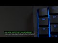 Chroma žaidimų klaviatūra Razer Tartarus V2