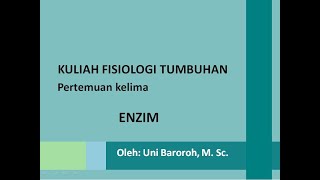 Kuliah Fisiologi Tumbuhan 5 Enzim