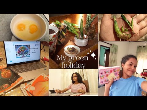 කොළපාට නිවාඩුවක් 🌳❤️Holiday green vibes🌷 gardening dayinthelife