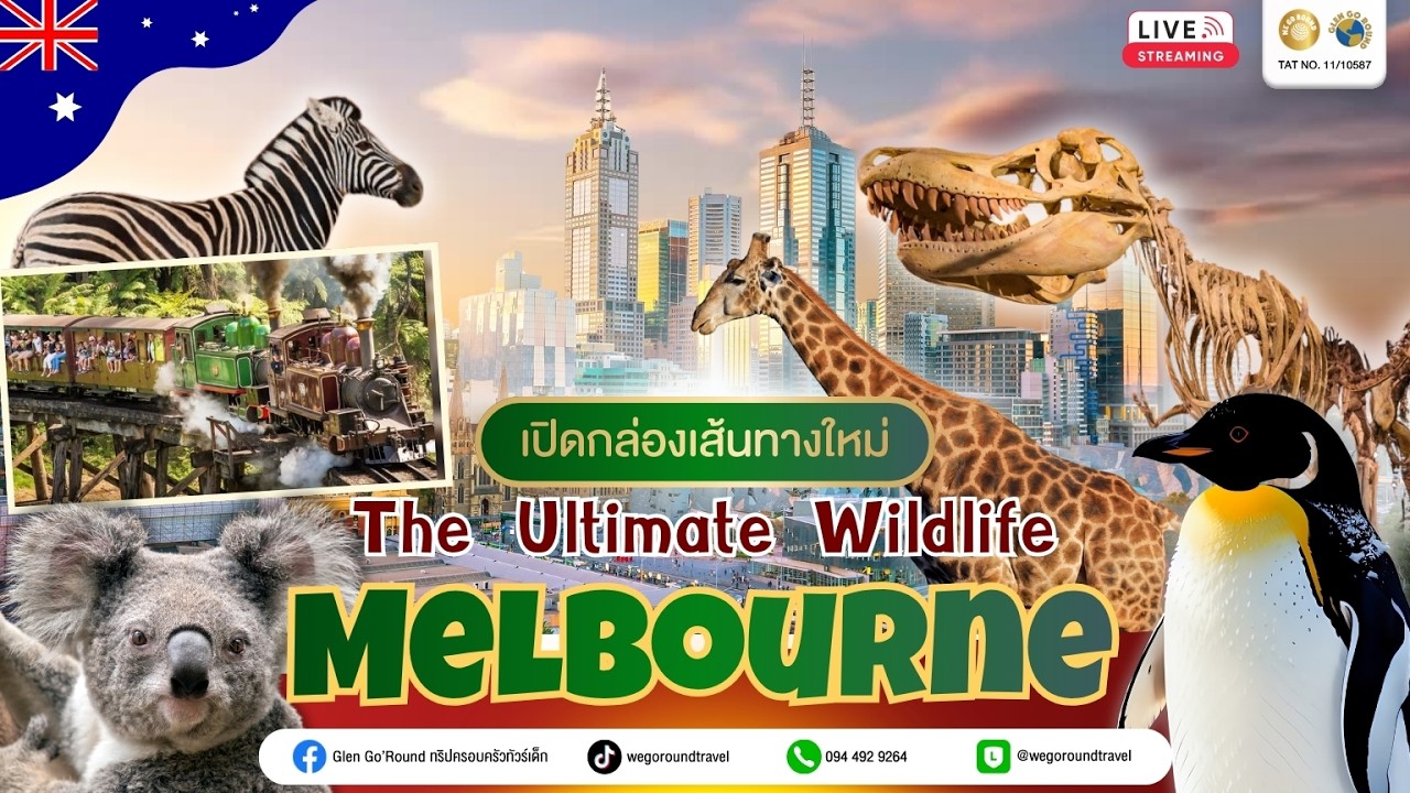 [LIVE]  ทริปเที่ยวออสเตรเลียเอาใจเด็กๆ และคนรักธรรมชาติกับทริป The Ultimate Wildlife Melbourne!