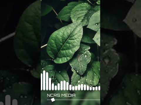 Coopex, KHEMIS - If Looks Can Kill