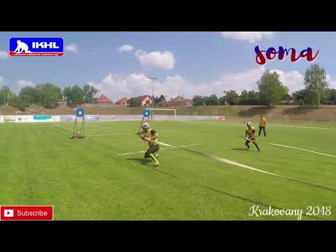 DHZ KRAKOVANY / 4.8.2018 / KRAKOVANY