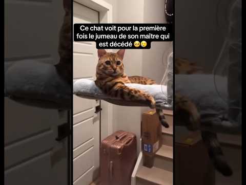 C’est trop mignon 🥹