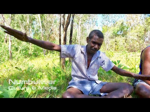 Dhaambulg Ngagangaga (Sea Eagle) - Murrungun Songs