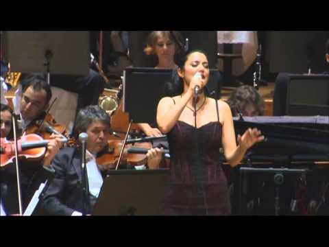 Seran Bilgi - Havana