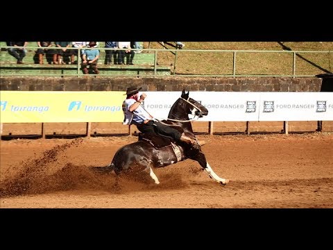 2º Lugar Fêmeas - Hierba Buena da Maior / Classificatória de Chapecó/SC - 2017