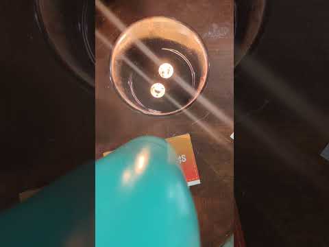 chapter 16 of Scythe