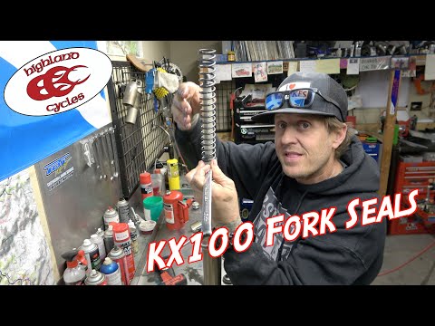 Dirt Bike Fork Seals : KX100