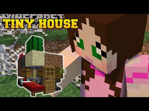 EPIC TINY HOUSES with SLIDES & SWINGS in Minecraft! 😱