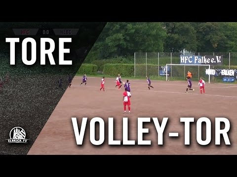 Volley-Tor von Keven Herrmann (HFC Falke II) | ELBKICK.TV