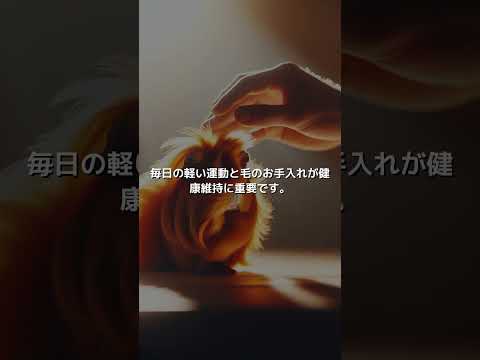 オレンジ(セルフ/表記)