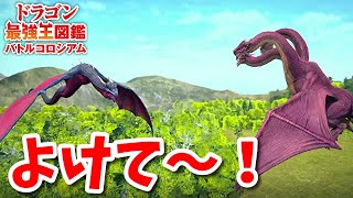 【ドラゴン最強王図鑑】ベーオウルフドラゴンでドラゴン最強王決定戦