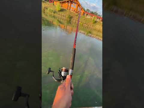 Drill pe 2 pontoane/ Balta Gruiu iulie 2022