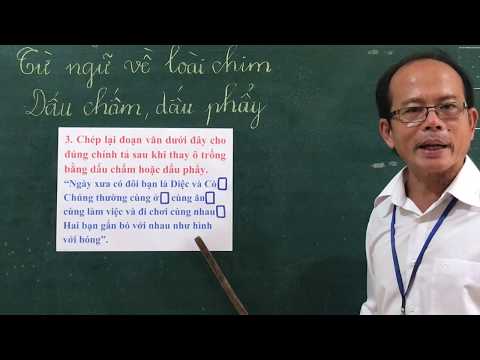 Môn LTVC lớp 2, bài Từ ngữ về loài chim. Dấu chấm, dấu phẩy (GV Dương Tấn Thạnh, Trường TH C Phú Mỹ)