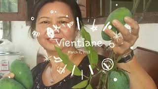 preview picture of video 'ທ່ອງທ່ຽວລາວ ( ວຽງຈັນ ໒໐໑໖ )....Travel Laos [ Vientiane 2016 ]'