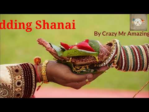Shehnai - Heart Touching Indian Emotional Background Music - Royalty Free Music - Indian music