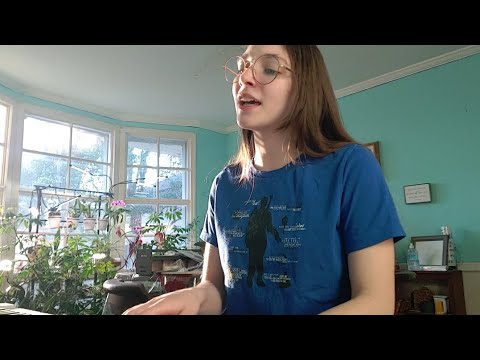 Cover of "Fall of the Magister" from Dragon Age: Inquisition