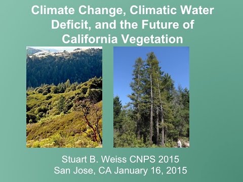 2015 12.08: Climate change, climatic water deficit, and the future of California vegetation Video