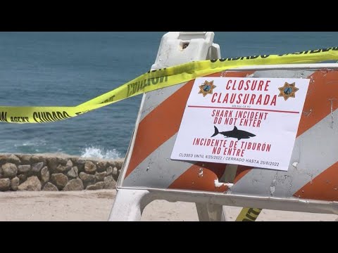 Swimmer serious injured in shark attack south of San Francisco