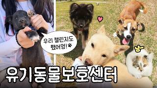 이제부터 전남광주통합특별시입니다 썸네일