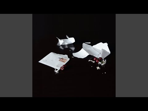 Video thumbnail for Camargue