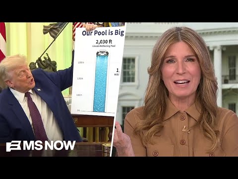 'I'm embarrassed even READING this to you': Nicolle on Trump GIDDY about his BIG pool renovation