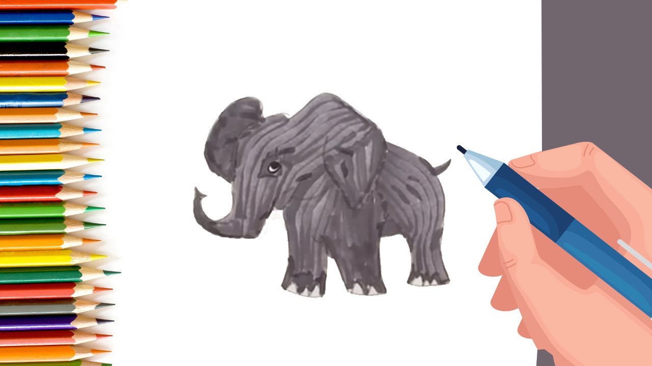 How to Draw Baby Elephant