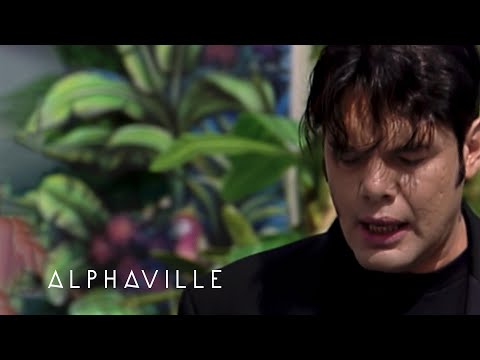 Alphaville - Fools (ZDF-Fernsehgarten, 21.08.1994)