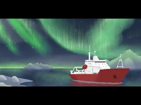 Animation Showreel 2019