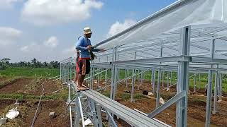 Download lagu pemasangan plastik UV di kebun anggur purbalingga mp3