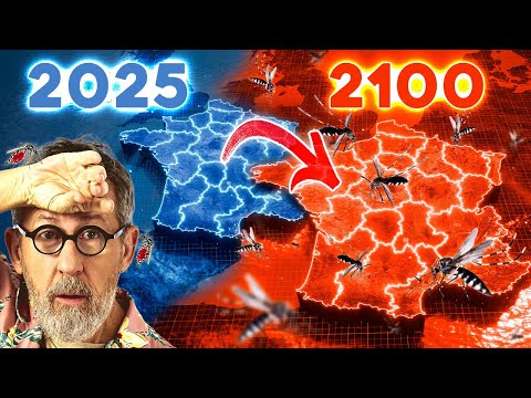 France at +4°C: what does that mean?