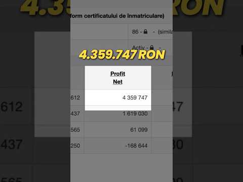 De la pierdere la 4 mil. RON Profit