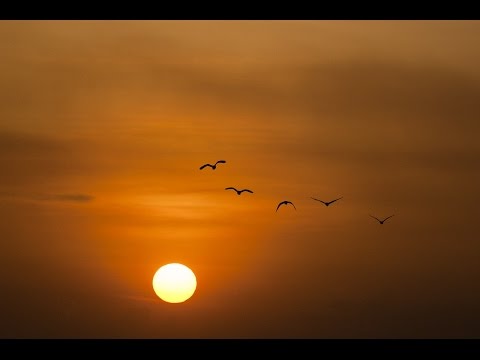 Izuba rirarenze [version originale] - Vincent NIYIGABA  -  Rwanda