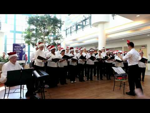 Sunnybrook Choir - Christmas 2008, part 1